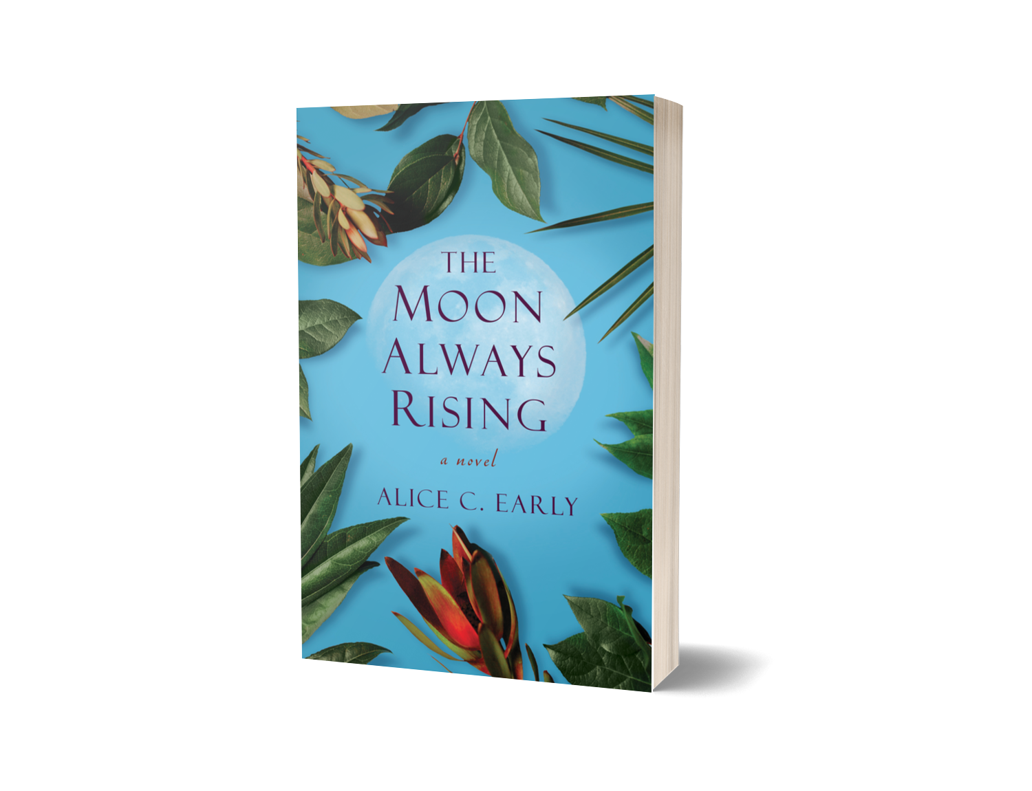 One Month and Counting