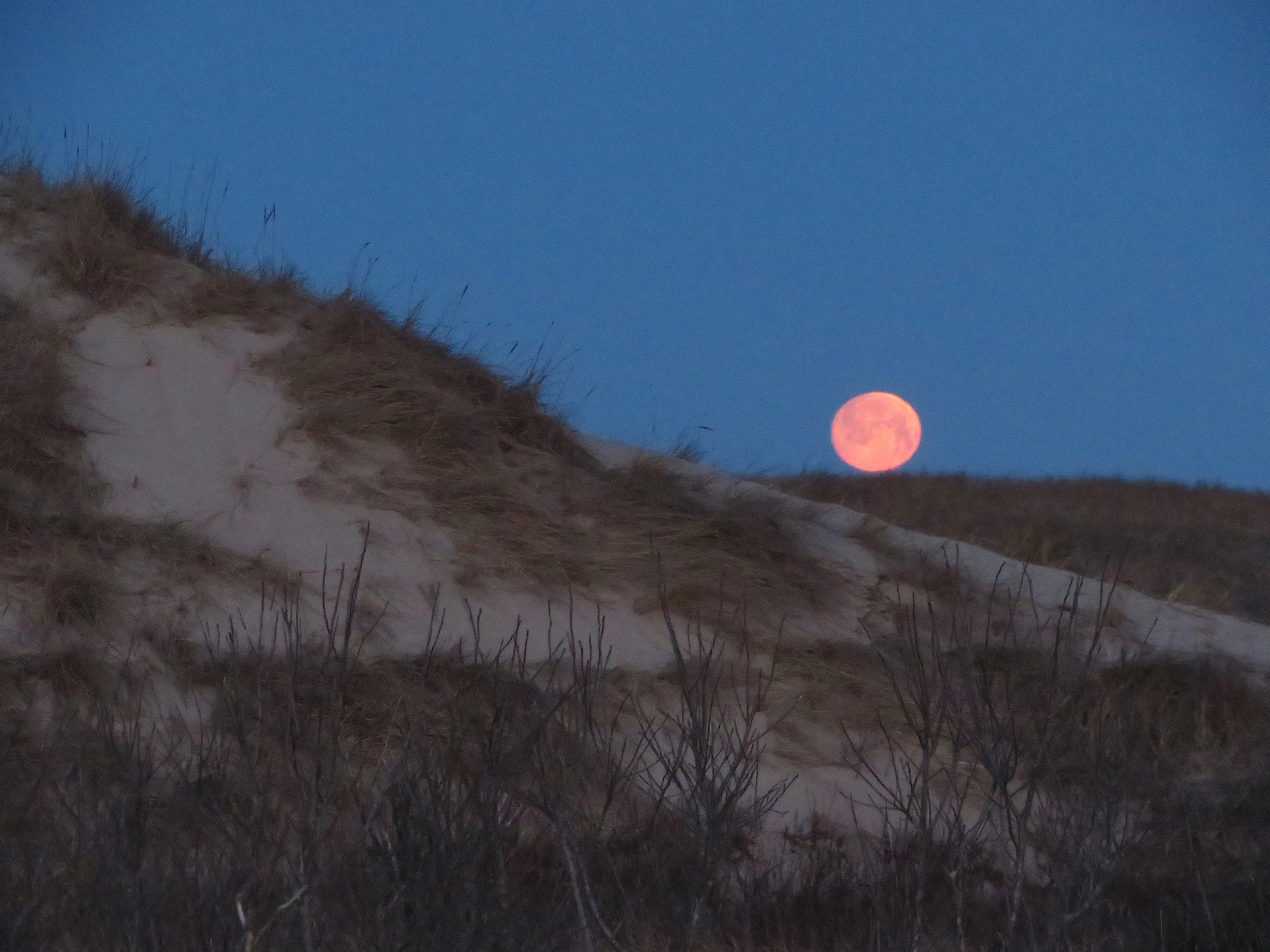 Snow Moon and Snowdrops: Harbingers of Spring